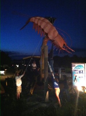The 12-foot jumbo shrimp was created by Ocracoke fisherman/hunter/artisit Russell Williams out of wood, rebar, net floats, and fly swatters. He is a sight to behold.